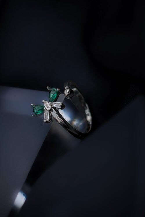 Ring-RIN108