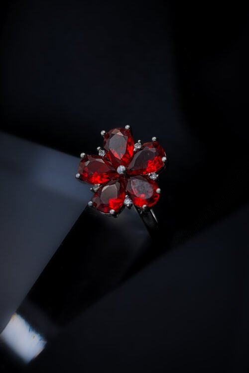 Ring-RIN113