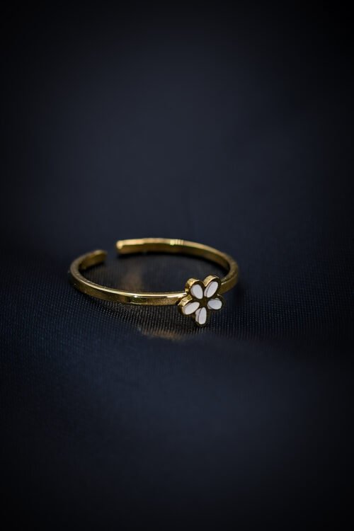 Ring-RIN033
