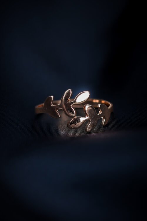 Ring-RIN031