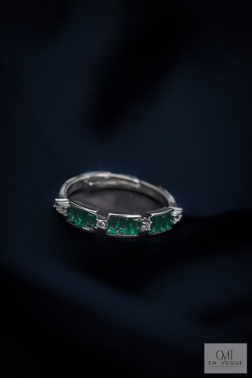 Ring-RIN137