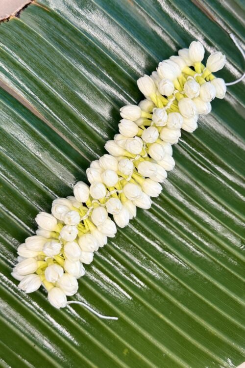 Half bloomed Jasmine Buds (Gajra ) buds strand