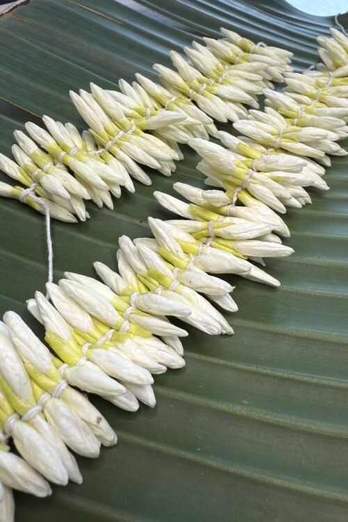 Pichi flower strands