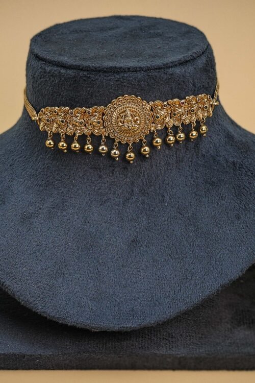 Sajani Necklace Set -NEC694