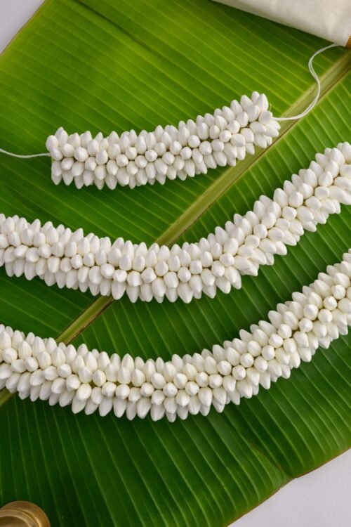 Jasmine Veni -HAC008